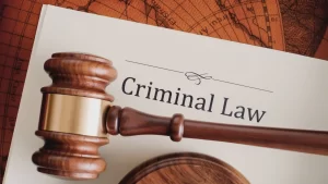 Pros and Cons of a Private Criminal Defense Lawyer