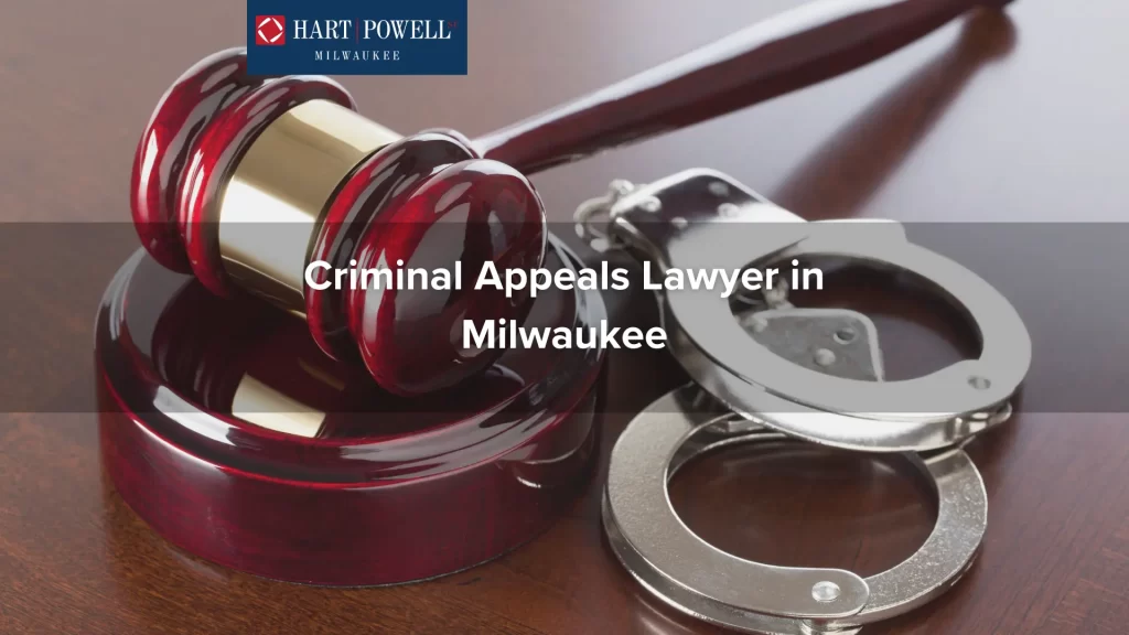 Criminal Appeals Lawyer in Milwaukee