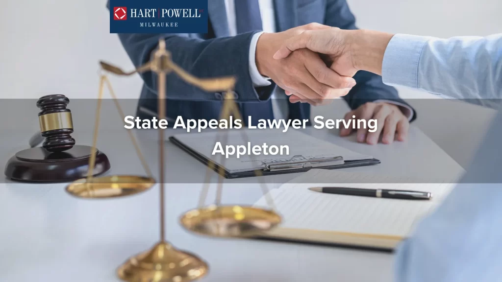 Appeals Lawyer Michigan